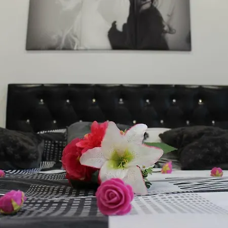 Privatif Spa, Jacuzzi , Wifi, Netflix Apartamento Estrasburgo